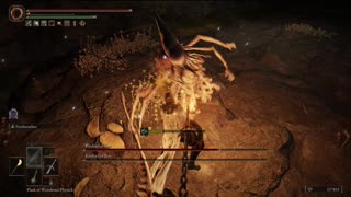 Elden Ring PC | Kindred of Rot in Seethewater Cave boss fight solo on NG #eldenring #gaming #shorts