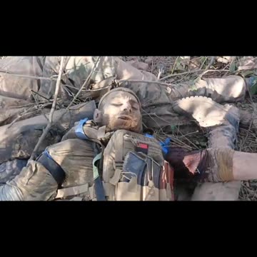 In November 24, Leshy fell in battle