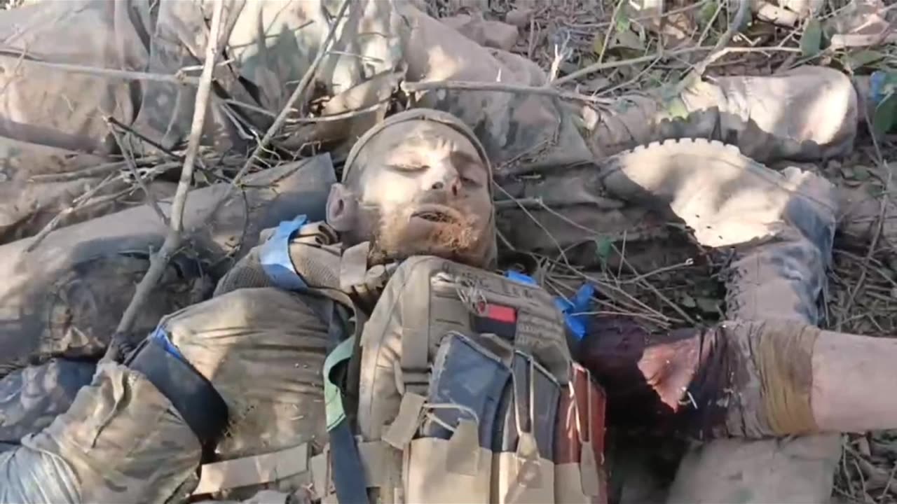 In November 24, Leshy fell in battle