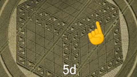 5d crop circle