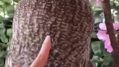 MES CHAINES CINEMA LIENS