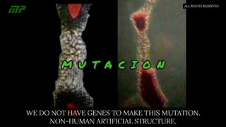 Humans Are Being Taken Over from Within via Biotech Mutation! Dr. Wilfredo Stokes Asks for Help!