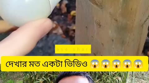 Smart DIY Bottle Light That Won’t Get Damaged