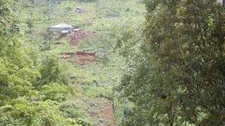Sierra Leone chimp refuge shuts to tourists to protest deforestation