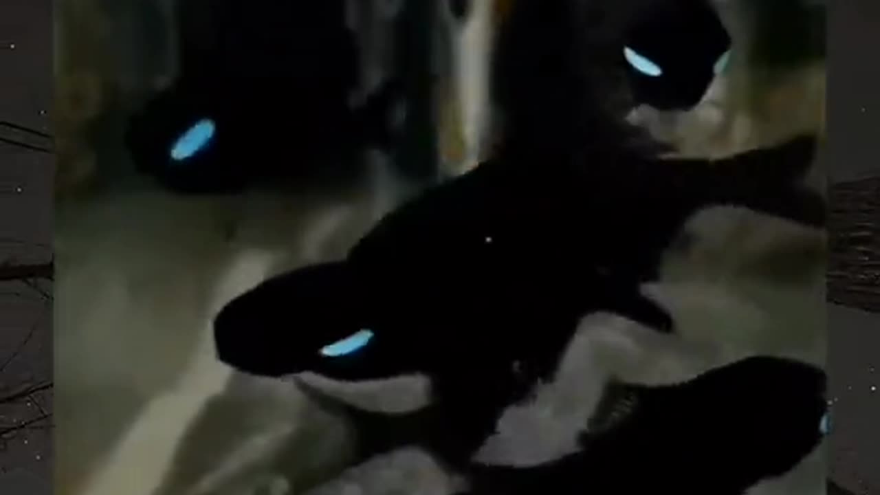 😱👻 The Scariest Poltergeist Activity Ever! | TheHauntingHour