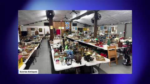 June 6th 2025 Auction Preview