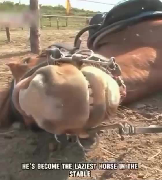 G'night fam. True story...