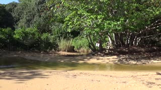 Princeville, HI — Wyllie's Beach