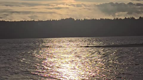 Beautiful sunrise on the water