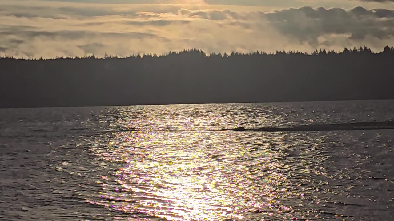 Beautiful sunrise on the water