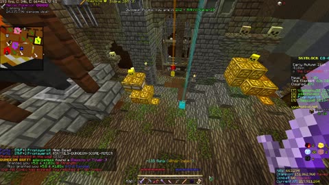 Skyblock FLOOR 7 [#2905]