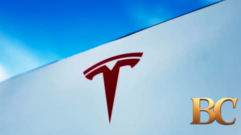 Tesla sales fall by 49% in Europe even as the electric vehicle market grows