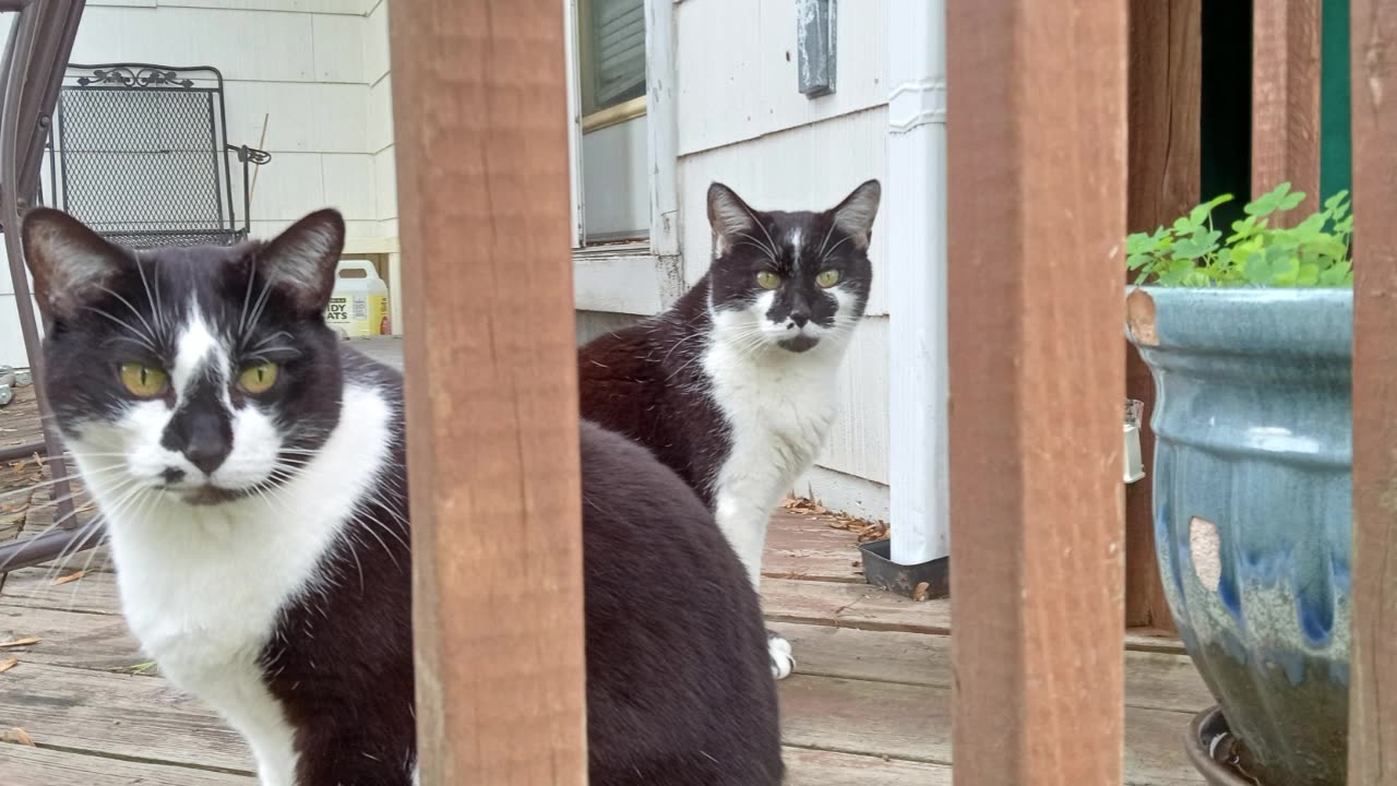 BEFORE LUCIFER WITH MARIA ORSIC #2- Mother Has The Best Taste In Clothing