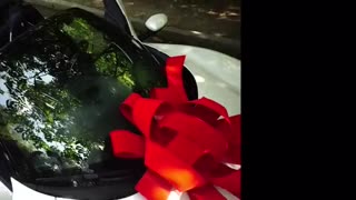 Playboi Carti & NBA YoungBoy - ALIVE / 004KT (Official Video)