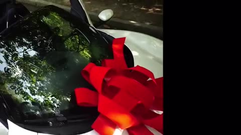 Playboi Carti & NBA YoungBoy - ALIVE / 004KT (Official Video)