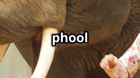 Jadoo ka Haathi 🐘 | Baccha Bana Hero | Hindi Moral Story for Kids #shorts #kids