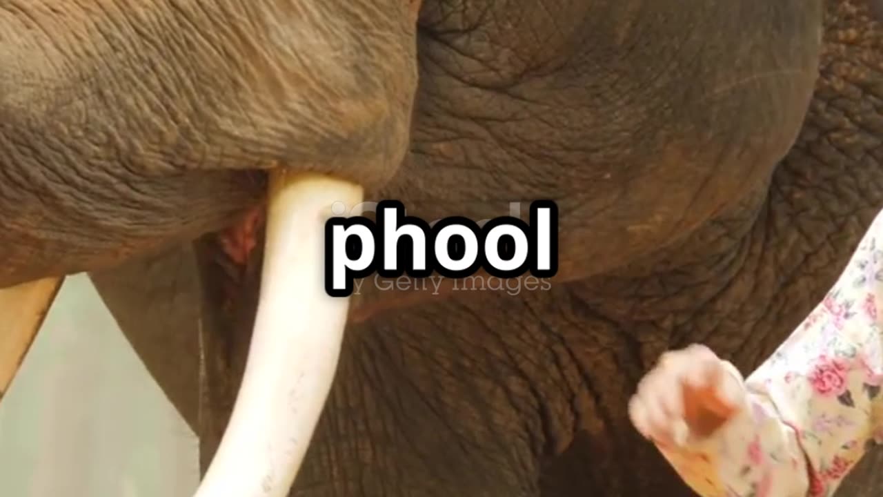 Jadoo ka Haathi 🐘 | Baccha Bana Hero | Hindi Moral Story for Kids #shorts #kids