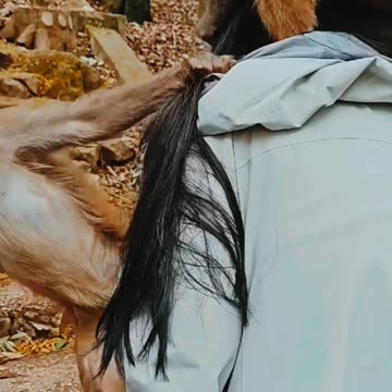 Monkey hit girl 🐒