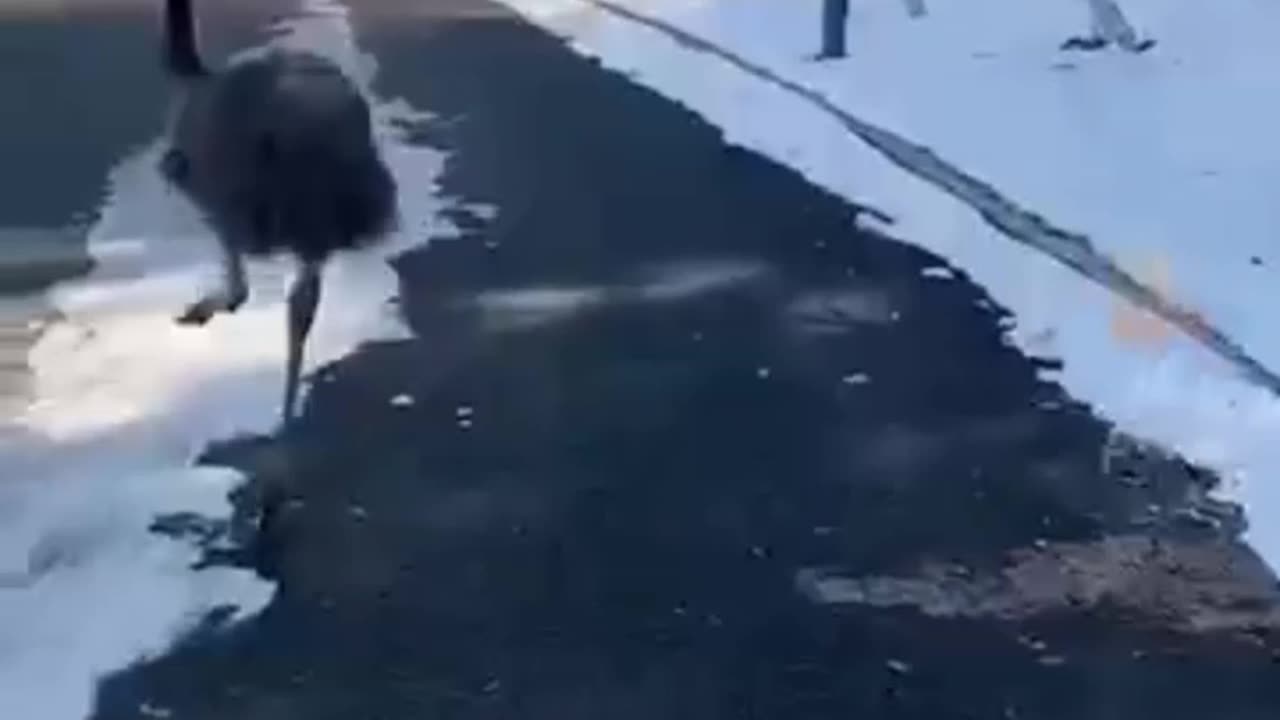 Funny fails 😅