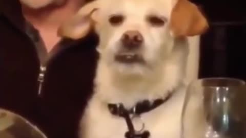 EYE ROLL THURSDAY 9/11/25