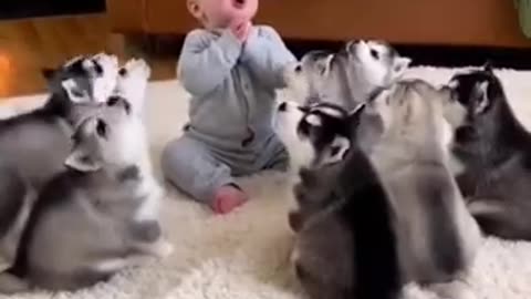 Cute Baby Playing With Animals | Adorable Baby & Pets Moments | Funny Animal Reactions”