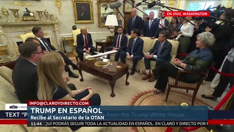EN VIVO Y EN ESPAÑOL : Donald Trump recibe al Secretario de la OTAN/ Se le acabó la paciencia con Putin