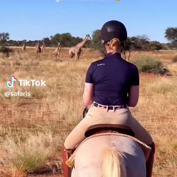 Animal crossing 🚸 in the world