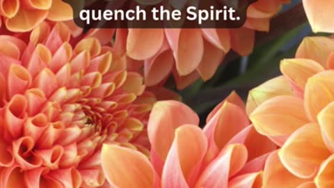 Journey of faith and spiritual growth 1 Thessalonians 5:18-19 Daily Bible Verse