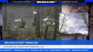 BIBLENKJV.COM™ 12/21/2025 #LIVE #BIRDCAM #WEATHER