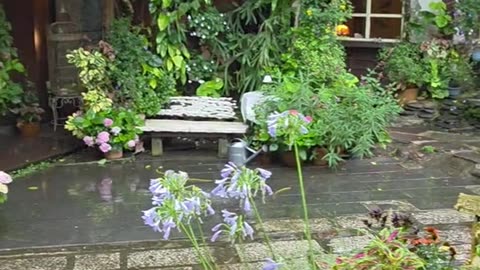 Nurture house