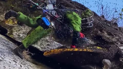 Incredible Moments Caught On Camera