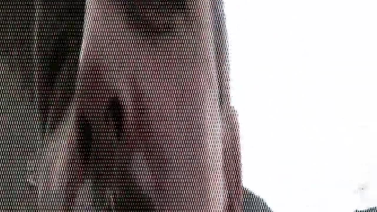 Tom Zebra & Ricky Pinzon threats