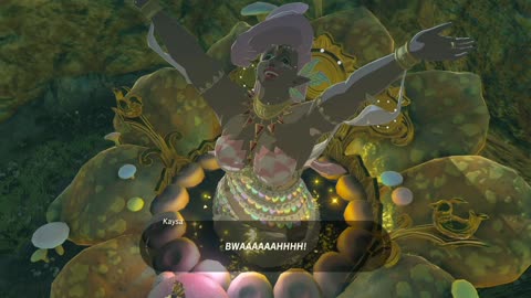 Great Fairy Kaysa – Great Fairy Fountain – Zelda: BOTW (Switch 2)