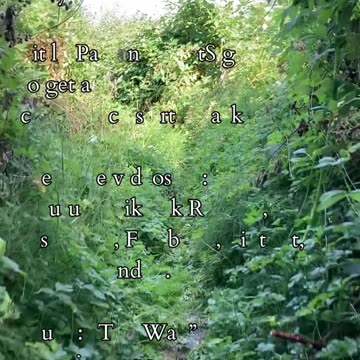 Motion And Stillness | Path and Tarot Reading