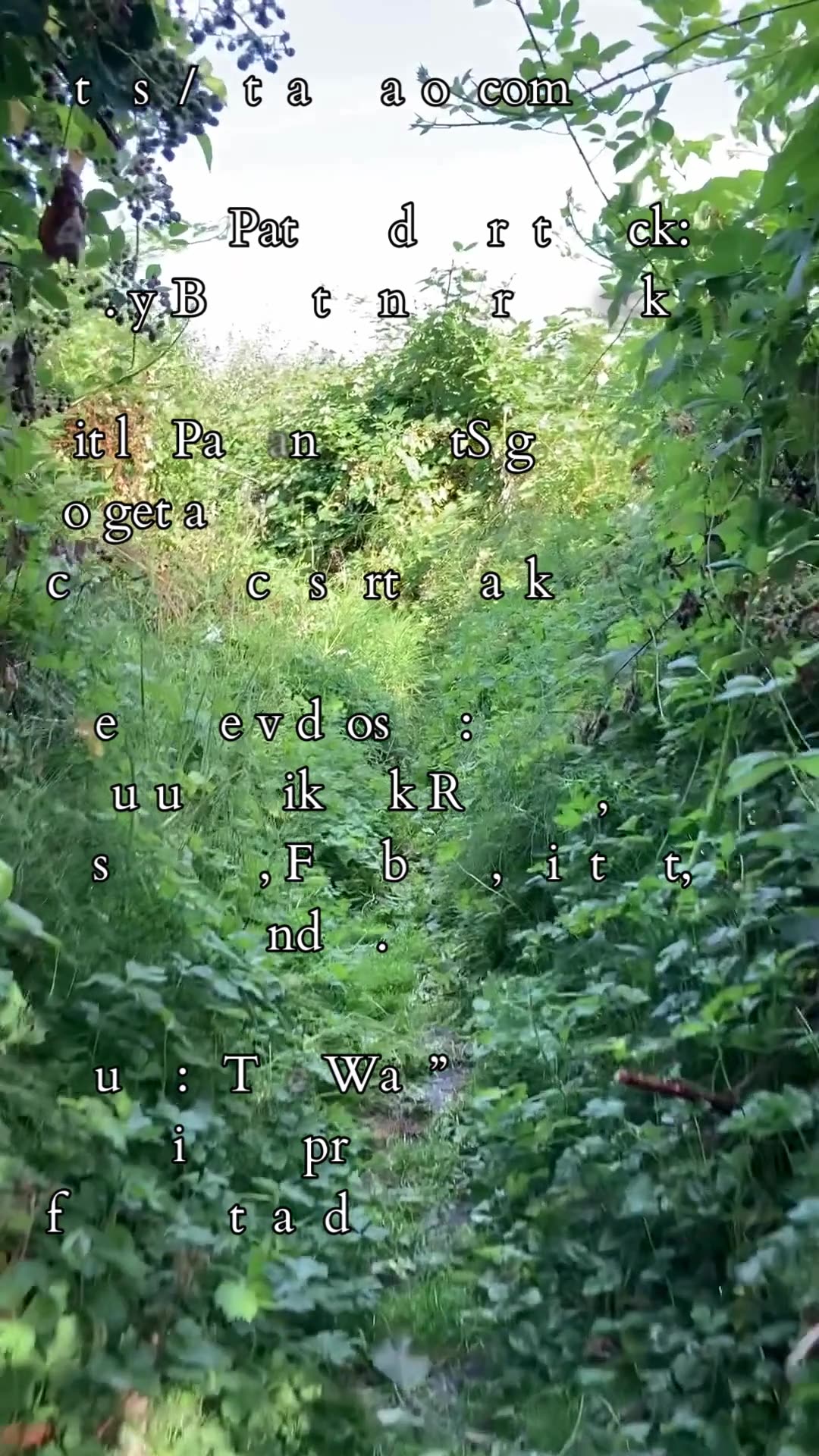 Motion And Stillness | Path and Tarot Reading