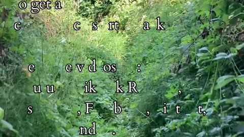 Motion And Stillness | Path and Tarot Reading