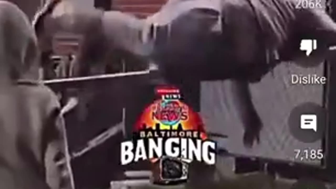 Obese Nigger And Wigger Struggle To Jump a 4 Foot Fence