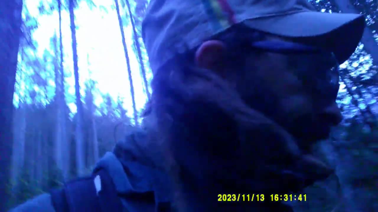 ULTIMA DOSE DI FUNGHI (13|14 11 2023) [III° PARTE]