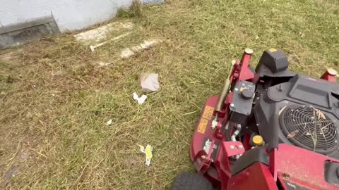 Property Cleaning Exposed a Huge Hazard to the Local Community P5