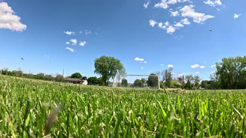Walking down a grassy hill.