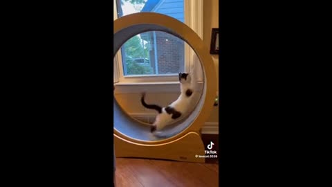 Need a laugh here and there ;)