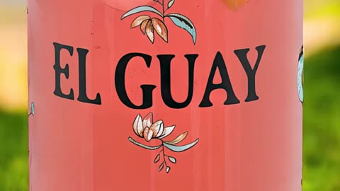Why everyone is obsessed with the El Guay glass cup #glasscup #kitchenfinds