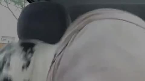 Sour Candy Reaction