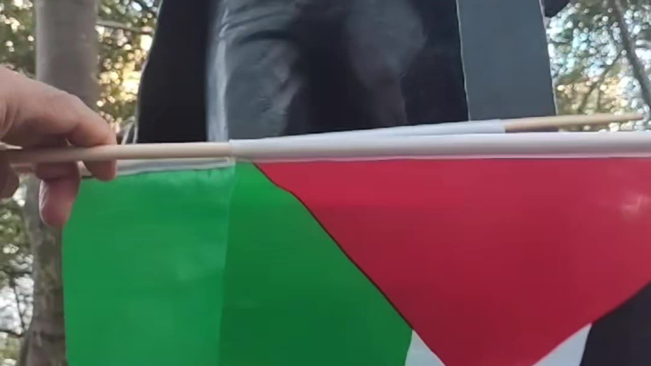 ¡Viva México! 🇲🇽 ¡Viva Palestina Libre, independiente!🇵🇸