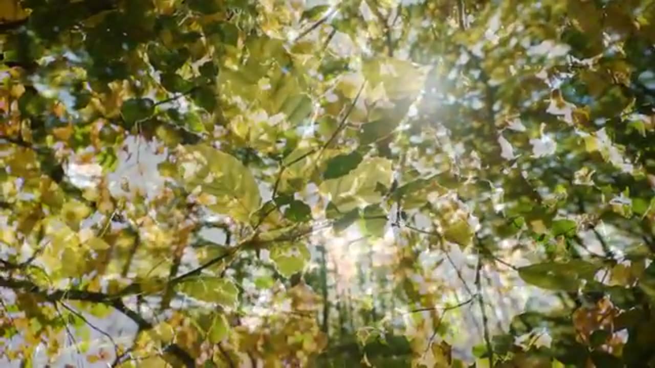 Relaxing Music for Meditation
