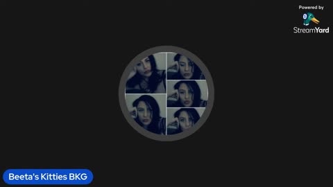 08/11/25 Beeta's Kitties VOD: "Manic Meow Monday 😻 Mod Management"