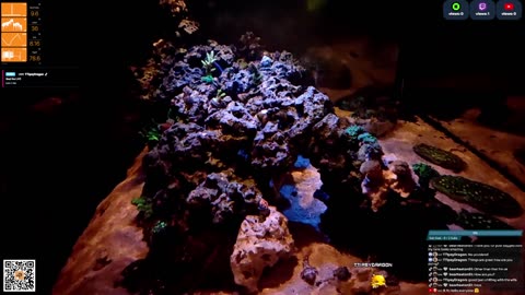 24/7 Real Live Reef Stream