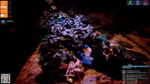 24/7 Real Live Reef Stream