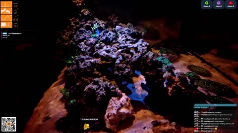 24/7 Real Live Reef Stream