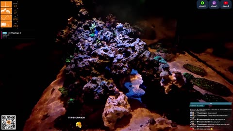 24/7 Real Live Reef Stream